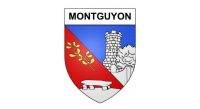 logo-montguyon