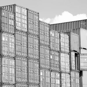 paul-teysen-bukjsECgmeU-unsplash