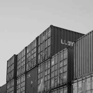 zahra-wijayanti-mYBJ5k_Urw0-unsplash